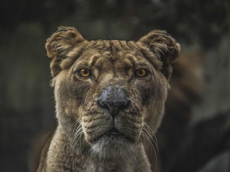 AWS Cloud Architect Certification Prep