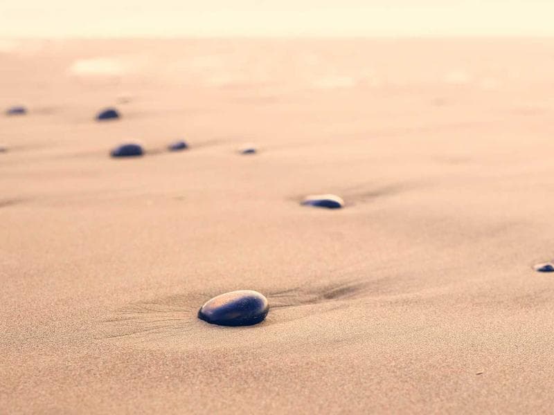 Cyber Security & Ethical Hacking